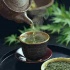 چای سبز در تقویت حافظه موثر است 