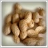   بادام زميني (Peanut) و خواص آن